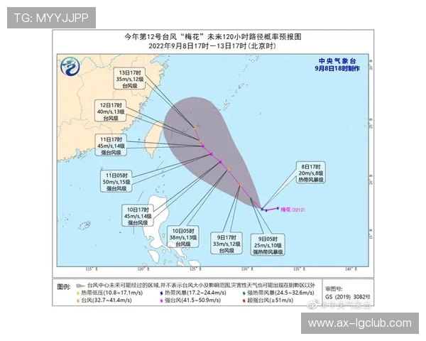 围绕中国足球网蜘蛛网中心探析球队困局与重建路径未来发展方略之思考